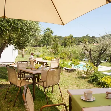 فندق مبيت وإفطار La Casa Degli Ulivi