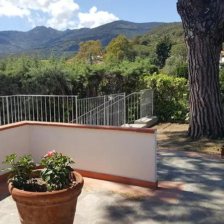 Bed and Breakfast La Casa Degli Ulivi 4*