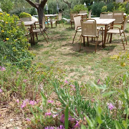 Bed & Breakfast La Casa Degli Ulivi Procchio (Isola d'Elba)