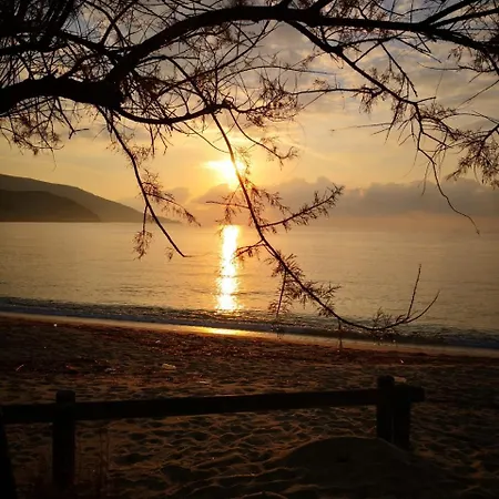 Bed and Breakfast La Casa Degli Ulivi Procchio (Isola d'Elba)