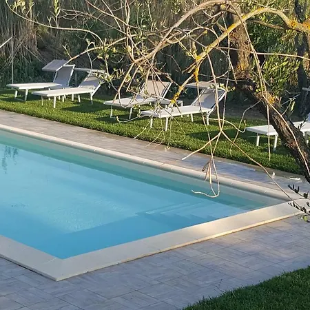 La Casa Degli Ulivi Procchio (Isola d'Elba)