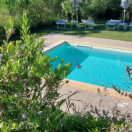 فندق مبيت وإفطار La Casa Degli Ulivi