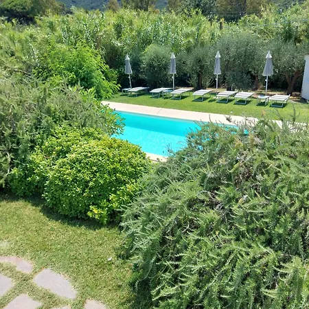 La Casa Degli Ulivi B&B
