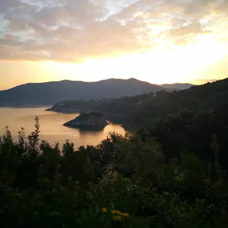 La Casa Degli Ulivi Procchio (Isola d'Elba)