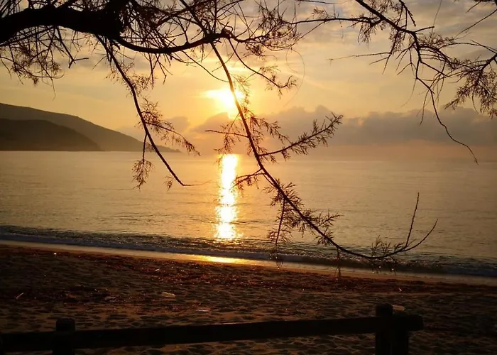 Bed & Breakfast La Casa Degli Ulivi Procchio (Isola d'Elba)